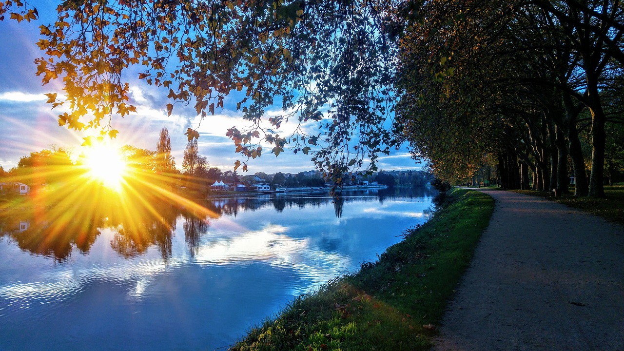 landscape, sun, sunset, sunrise, forest, blue, trees, sunlight, tree, park, vichy, napoleon, dream, vichy, vichy, vichy, vichy, vichy