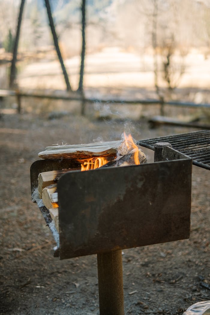 A rustic outdoor grill with firewood burning, set in a tranquil natural setting. Ideal for camping themes.
